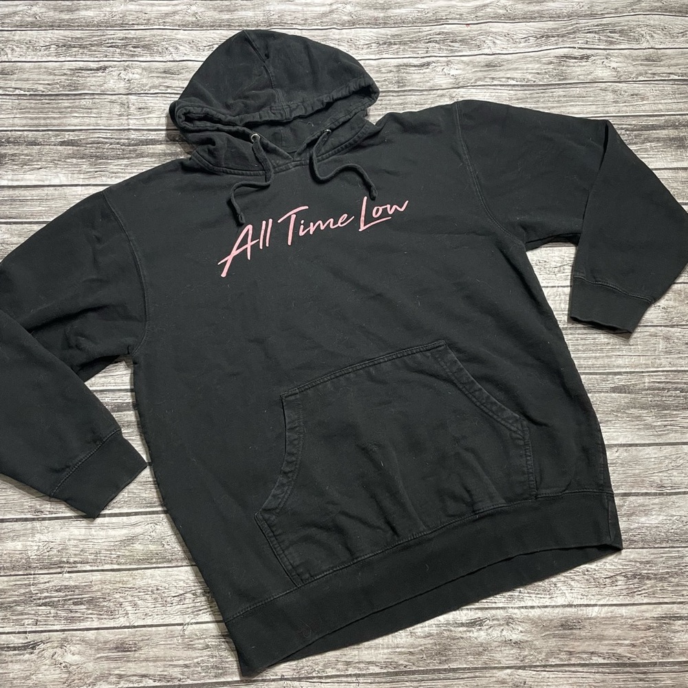 Adult Large All Time Low Black Pullover Hoodie Sweater Flamingo on Back Great Co